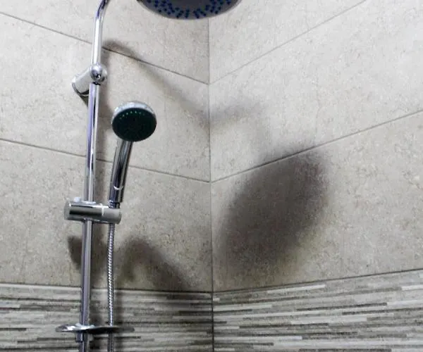 Διαμέρισμα Jeta Studio &